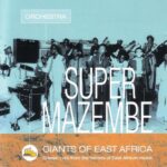 Kasongo Yéyé : Quand un Tube des Années 80 Ressuscite et Affole la Toile Votedean 20082025 Angelique Kidjo 150x150