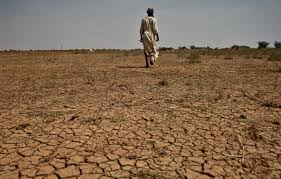 Sécheresse Historique en Côte d'Ivoire : La Production de Cacao et le Marché du Chocolat sous Tension Votedean 20082025 Cote Divoire