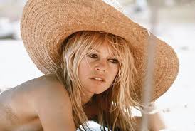 votedean 28122025 brigitte bardot3