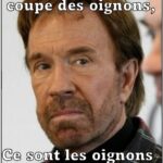 votedean 2003026 chuck norris2