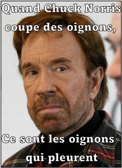 Chuck Norris Facts : Le secret d'une immortalité numérique votedean 2003026 chuck norris2